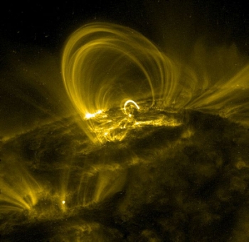Coronal Loops