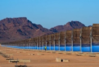 Solana Plant